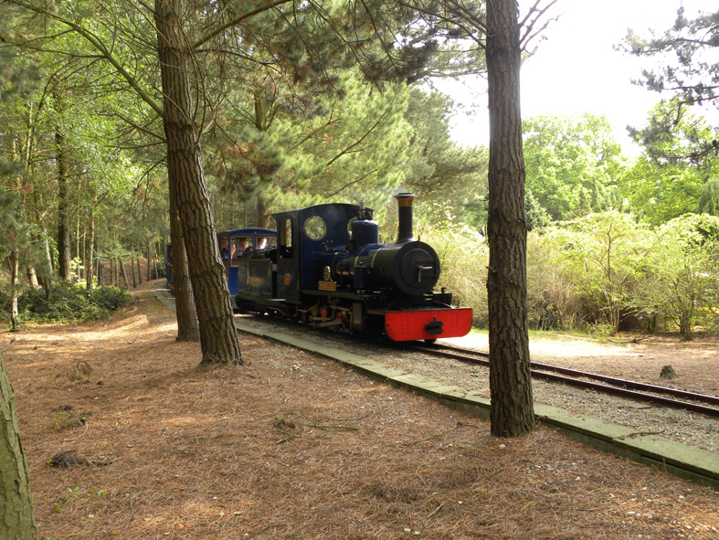 Exbury Gardens & Steam Railway 2024, Southampton, Hampshire Steam